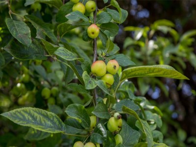Holiday house Apartment in Vrouwenpolder near the Dunes - Outdoor photo 5