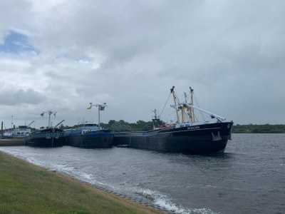 Holiday house Apartment in Vrouwenpolder near the Dunes - Environment photo 28