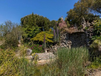 Holiday house Apartment in Vrouwenpolder near the Dunes - Environment photo 33