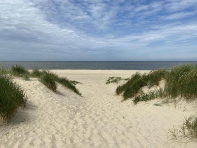 Holiday house Apartment in Vrouwenpolder near the Dunes - Environment photo 34