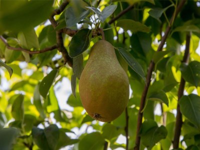 Holiday house Apartment in Vrouwenpolder near the Dunes - Outdoor photo 37