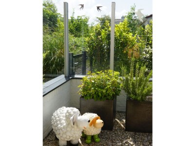 Bungalow de Lepelaar - Outdoor photo 7