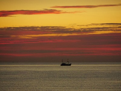 Bungalow de Lepelaar - Environment photo 26