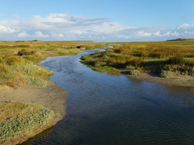 Bungalow de Lepelaar - Environment photo 27