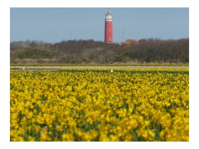 Bungalow de Lepelaar - Environment photo 34