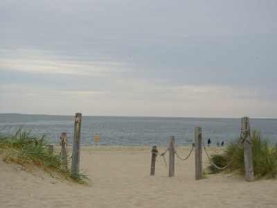 Bungalow de Lepelaar - Environment photo 38