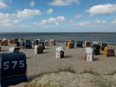 Holiday apartment Magnolie - Environment photo 16