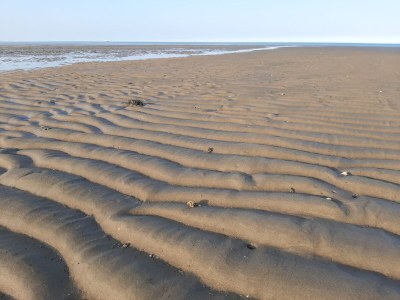 Holiday apartment Magnolie - Environment photo 20