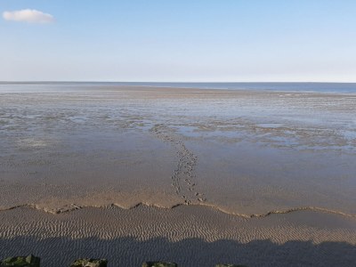 Holiday apartment Magnolie - Environment photo 21