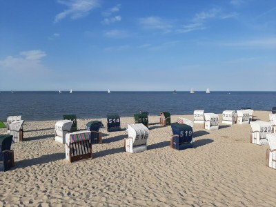 Holiday apartment Magnolie - Environment photo 24