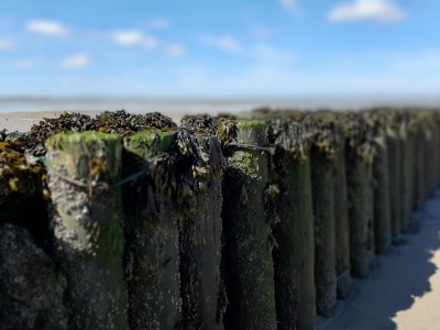 Holiday apartment Magnolie - Environment photo 26