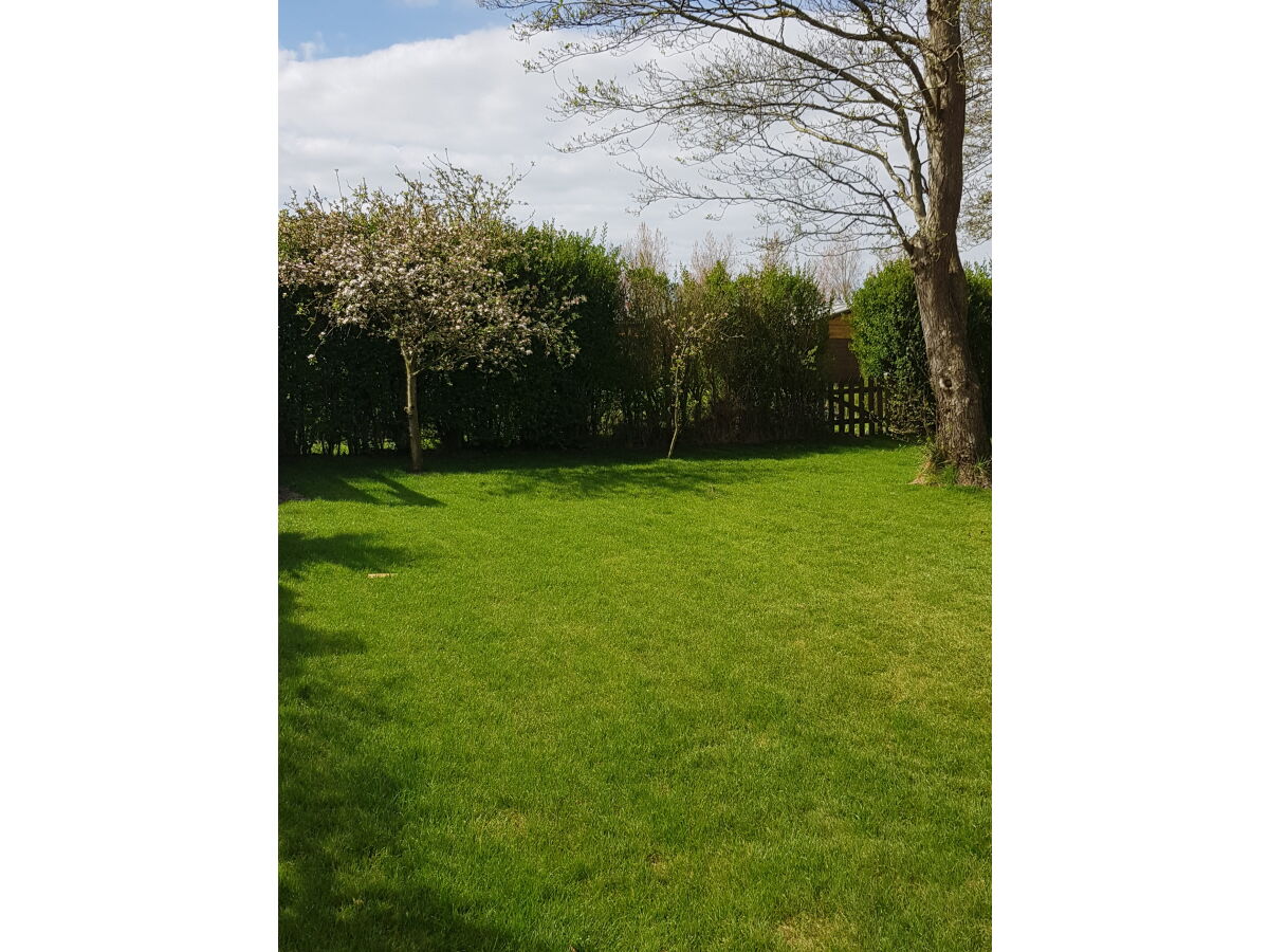 Holiday apartment Jacky - Outdoor photo 4