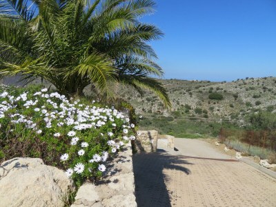 Holiday house Casa Conito - Outdoor photo 13