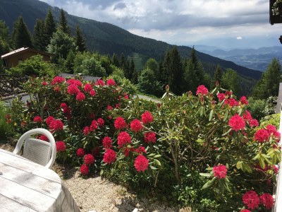 Holiday apartment Type A in House Andrea - Outdoor photo 9