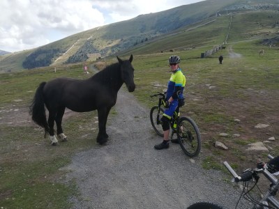 Holiday apartment Type A in House Andrea - Environment photo 36