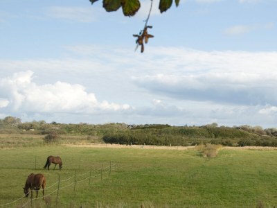Apartment Moderne 3-Zi-Neubau-FeWo "Sommerdeich I" in schöner Lage - Features photo 14