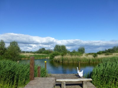 Holiday house Beach Villa Ijsselmeerblik - Outdoor photo 2