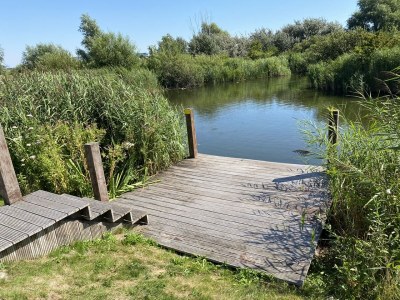 Holiday house Beach Villa Ijsselmeerblik - Outdoor photo 7