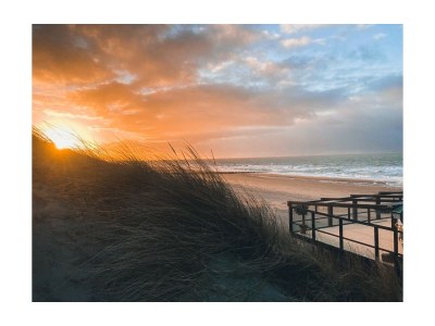 Holiday apartment Zuiderpark 6 DO51 - Environment photo 30