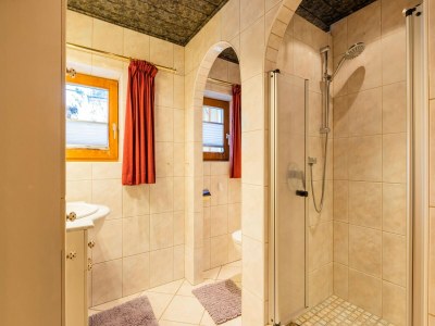 Apartment Apartment in Kitzbühel near Ski Lifts - Features photo 19