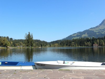Apartment Apartment in Kitzbühel near Ski Lifts - Environment photo 28