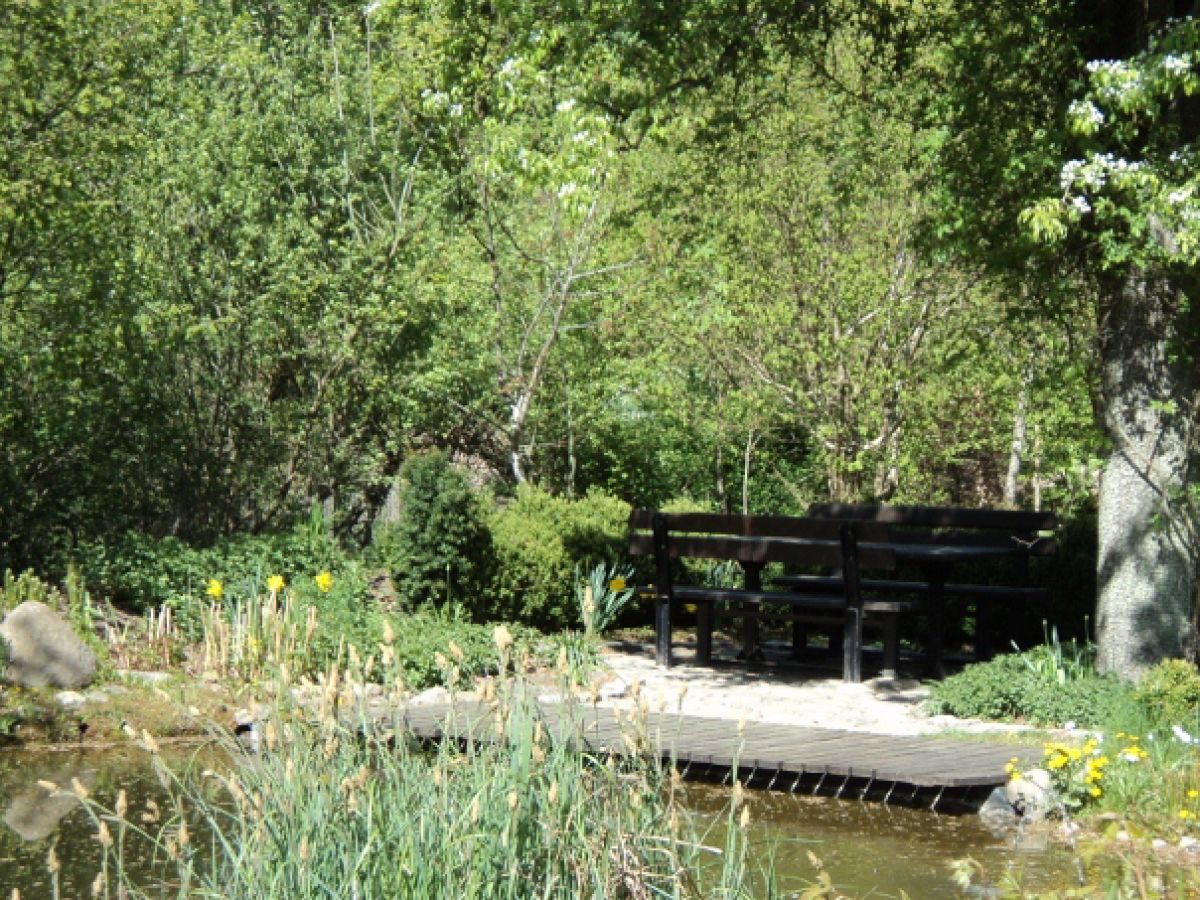 Holiday apartment Scheidekate - Outdoor photo 2