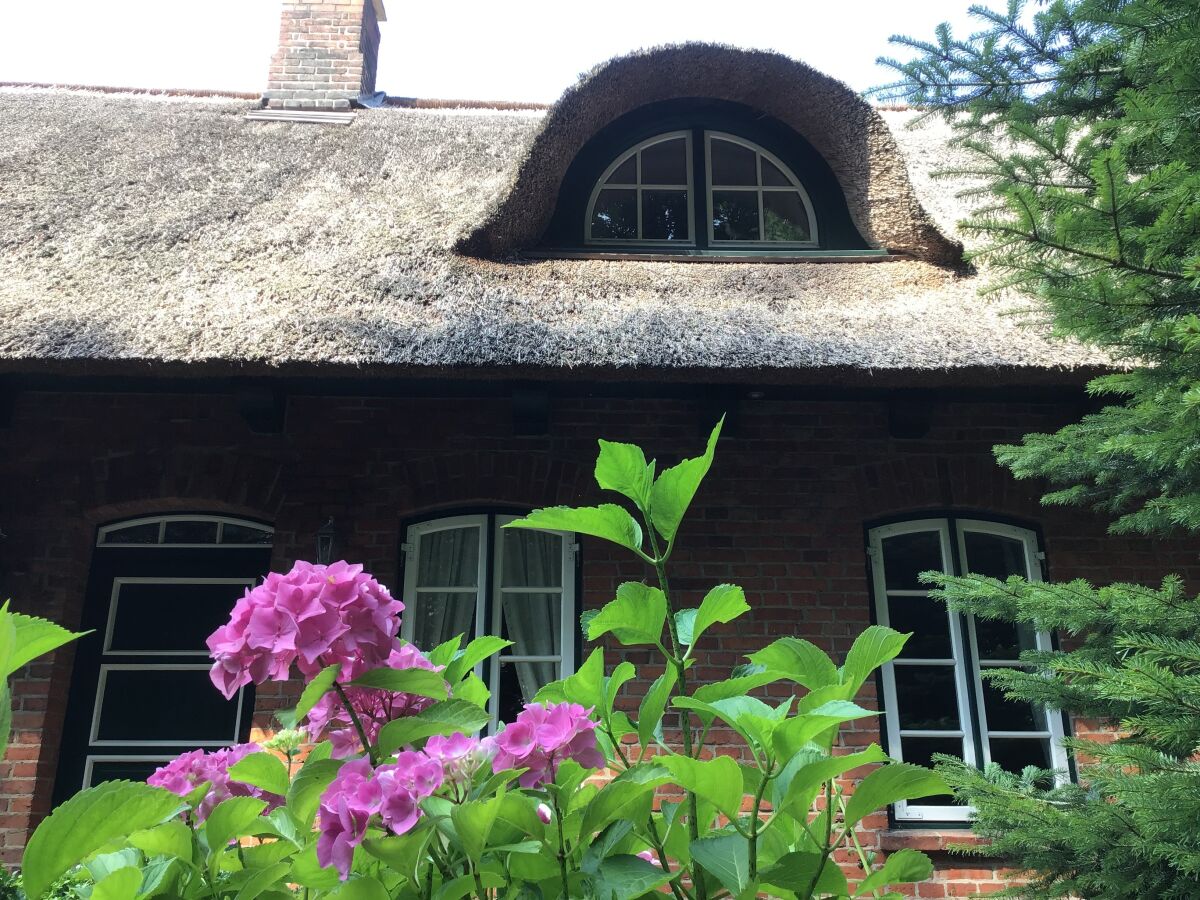 Holiday apartment Scheidekate - Outdoor photo 4