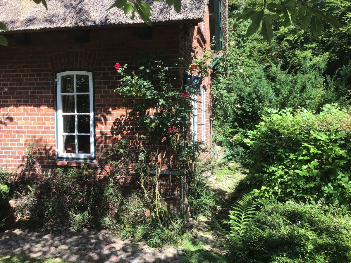 Holiday apartment Scheidekate - Outdoor photo 5