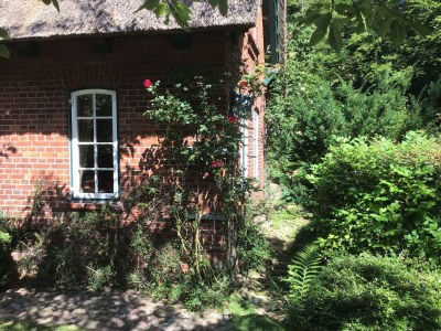 Holiday apartment Scheidekate - Outdoor photo 5