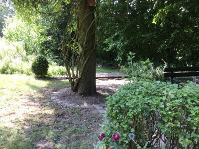 Holiday apartment Scheidekate - Outdoor photo 8