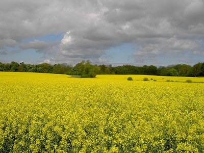 Holiday apartment Scheidekate - Environment photo 21