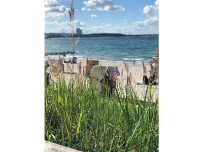 Holiday apartment Scheidekate - Environment photo 23