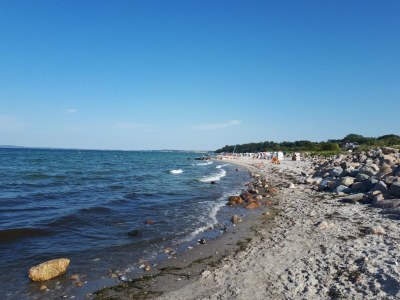 Holiday apartment Scheidekate - Environment photo 24