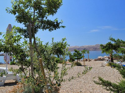 Holiday apartment Elena - Top 3 - Features photo 19