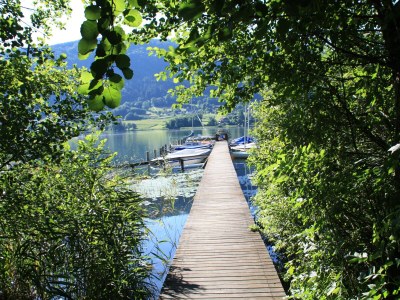 Apartment Apartment direkt am Ossiacher See 2 - Outdoor photo 6