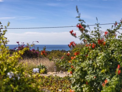 Villa Casa das oliveiras - Outdoor photo 11