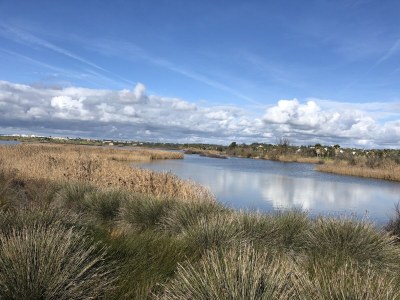 Villa Casa das oliveiras - Environment photo 25