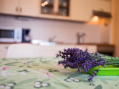 Apartment Tia - Features photo 14