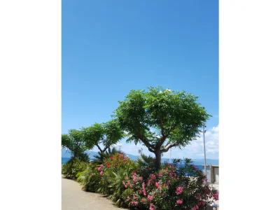 Apartment Tia - Environment photo 15