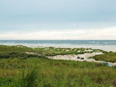 Holiday house Bungalow auf Texel am Nationalpark - Environment photo 22