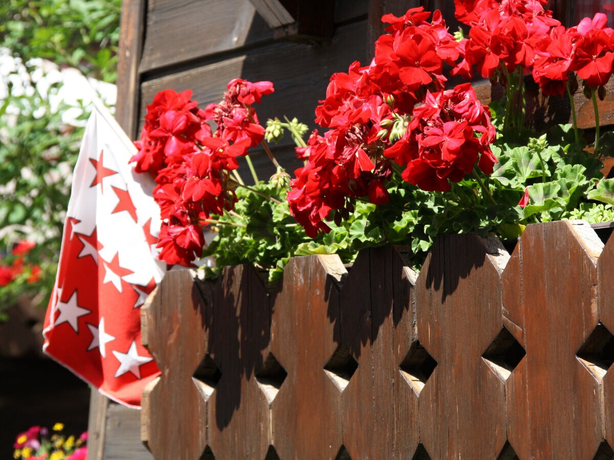 Holiday apartment Chalet am Sonnenhang - Outdoor photo 5