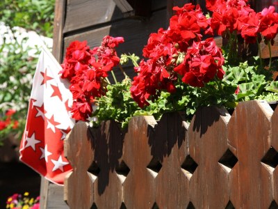 Holiday apartment Chalet am Sonnenhang - Outdoor photo 5