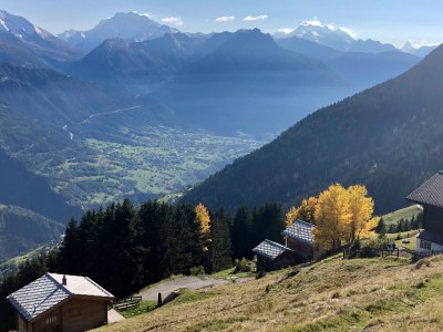 Holiday apartment Chalet am Sonnenhang - Environment photo 37