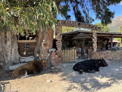 Holiday apartment No title - Environment photo 38