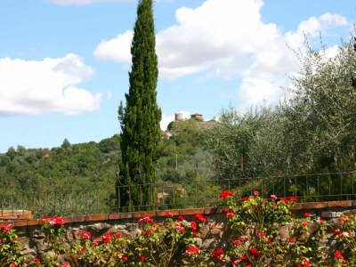 Holiday house Villa Casa Felice - Outdoor photo 6