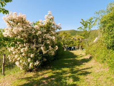 Holiday house Casa la Primula - Outdoor photo 5