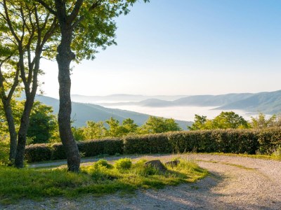 Holiday house Casa la Primula - Outdoor photo 13