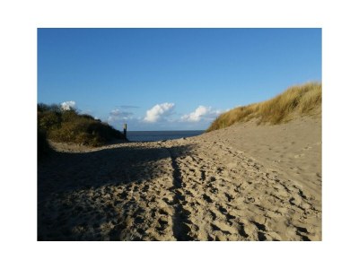 Holiday house VillaDuin9 - Environment photo 19