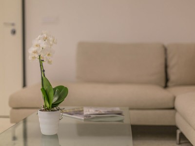 Apartment Ca' Rossini 1 - Features photo 12