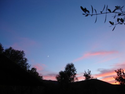 Holiday house Stone House Murta - Environment photo 16